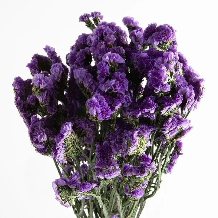 Szárított Virágok Statice Kermek Liliac 135g - Univerzális Ajándék Dekorációhoz