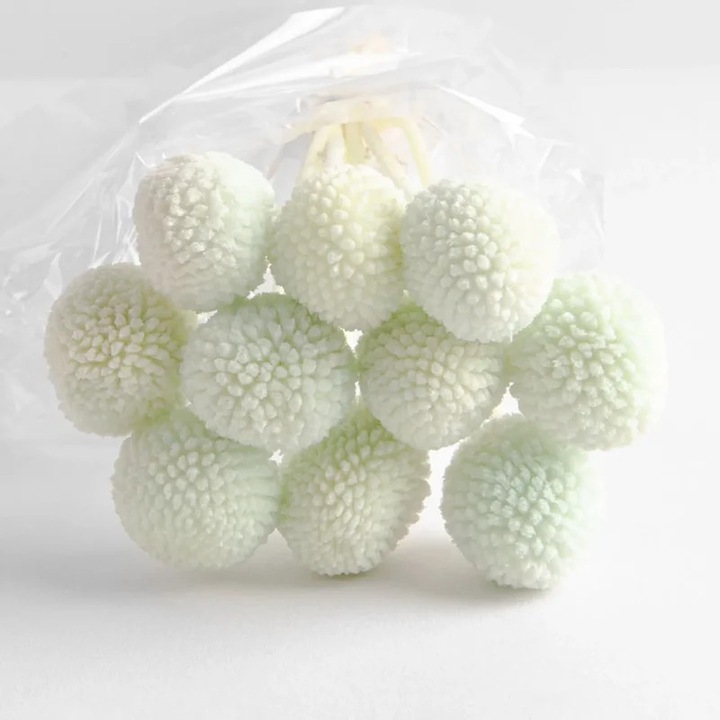 Flori Uscate Craspedia Verzi, 10 Capete, 65 Grame - Cadou Universal Elegant
