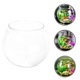 Acvariu transparent din plastic 24x24x21cm