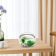 Bol pentru pesti din sticla transparenta 20x20x14cm, decor birou
