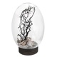Acvariu mic rotund cu LED, plastic, transparent, 2xAAA, 15x15x15cm