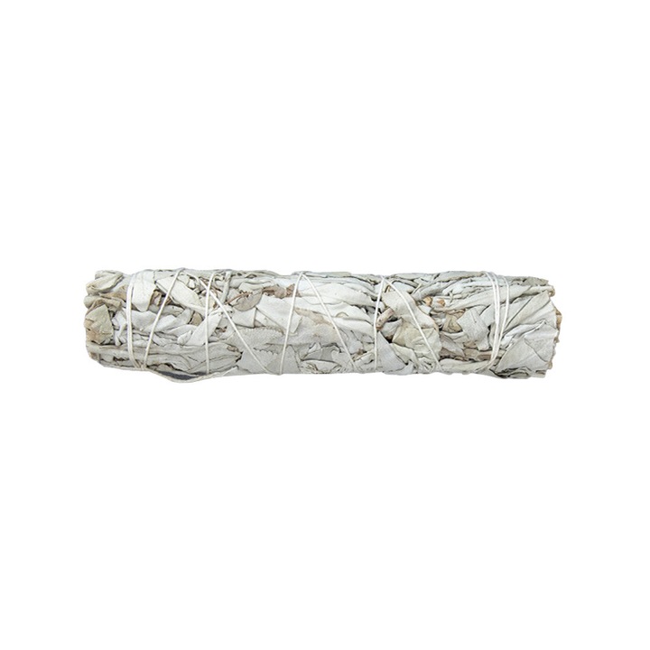 Busuioc alb, 10.5x18x20x22cm, alb, salvia