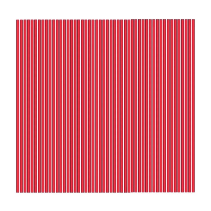 Set 50 paie spray rosu 12x0.22x0.22cm pentru intretinere auto si casnica