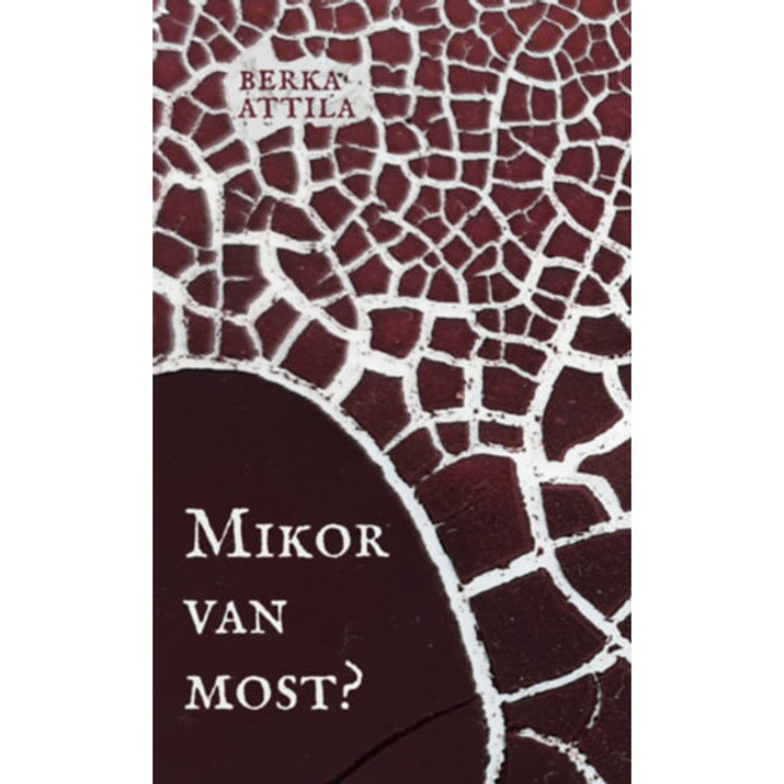 Mikor van most? - Berka Attila