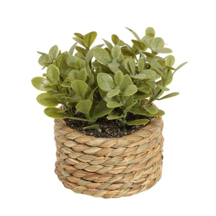 Plante artificiale in ghivece din iarba de mare impletita manual, verde, 15x15cm