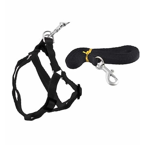 Ham Reglabil si Lesa Detasabila pentru Caini sau Animale de Companie, Culoare Negru, Lungime Lesa 122cm