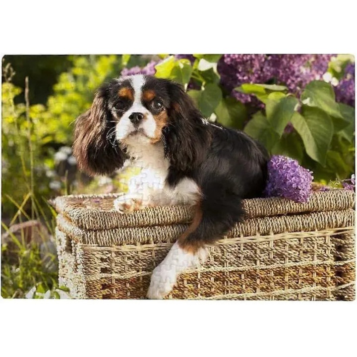 Puzzle Cavalier King Charles Spániel, 300x26cm 500x38cm 1000x50cm, többszínű