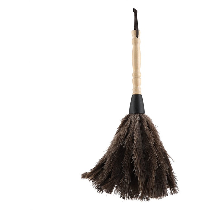 Perie mini reutilizabila cu pene de strut, lavabila, pentru birou si acasa, 20x5cm