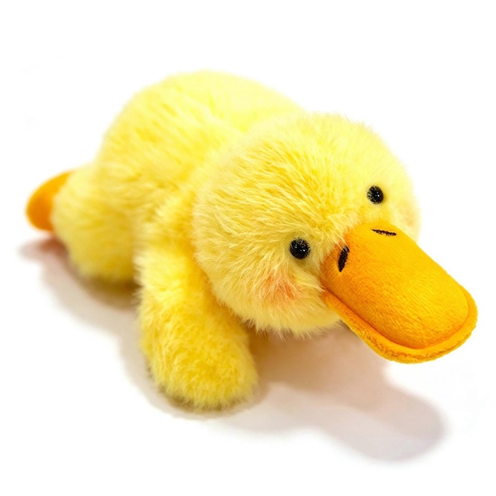 Magnet decorativ plus animal, compact, moale, multicolor, 10x10cm