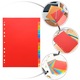 Separatoare pentru biblioraft A4, 29.5x21x0.2cm, PP, colorate