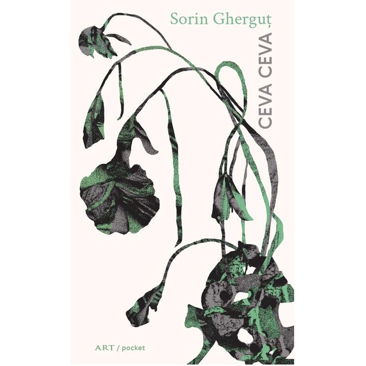Ceva ceva - Sorin Ghergut