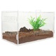 Cutie reproducere reptile YANYXR acril transparent 25x15x15cm