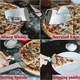 Feliator pizza multifunctional YANYXR inox 28x9cm