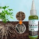 Solutie stimulare radacini YANYXR 50ml verde 3x5x8cm