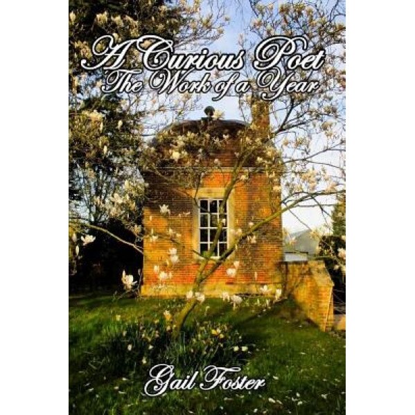 A Curious Poet: An Anthology of Poetry and Prose, MS Gail Foster (Author)