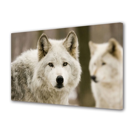 Tablou Canvas Luminos In Intuneric Varioview Led Animale Lupi Albi 30 X 45 Cm Emag Ro