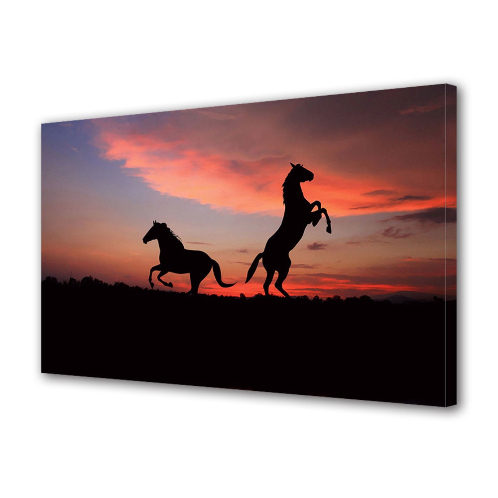 Tablou Canvas Luminos in intuneric VarioView LED Animale Cai pe camp la apus 60 x 90 cm