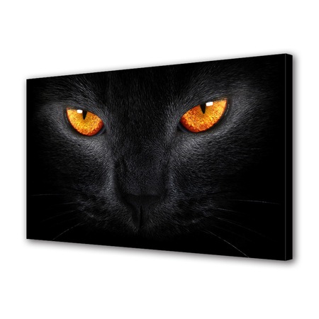 Tablou Canvas Luminos In Intuneric Varioview Led Animale Privirea Unei Pisici Negre 50 X 70 Cm Emag Ro
