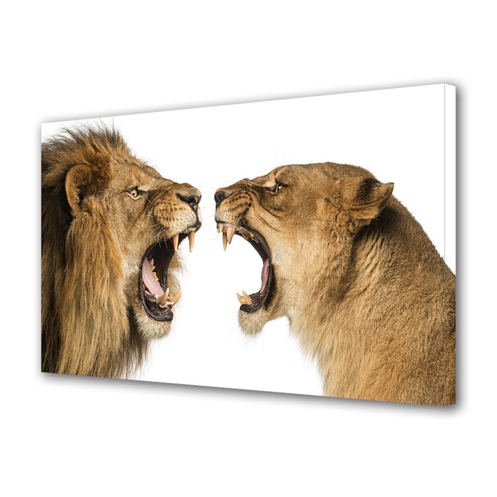 Tablou Canvas Luminos in intuneric VarioView LED Animale Leul si leoaica 40 x 60 cm