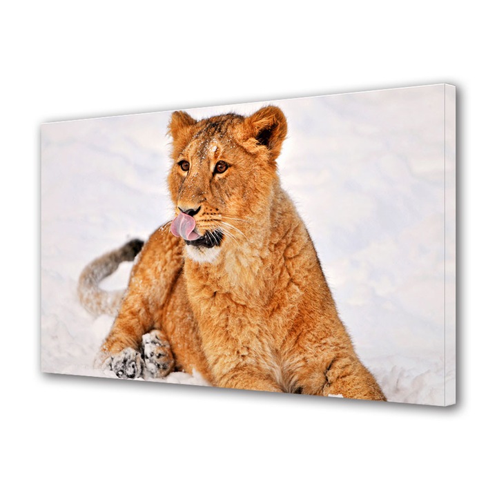 Tablou Canvas Luminos in intuneric VarioView LED Animale Pui de leu 40 x 60 cm