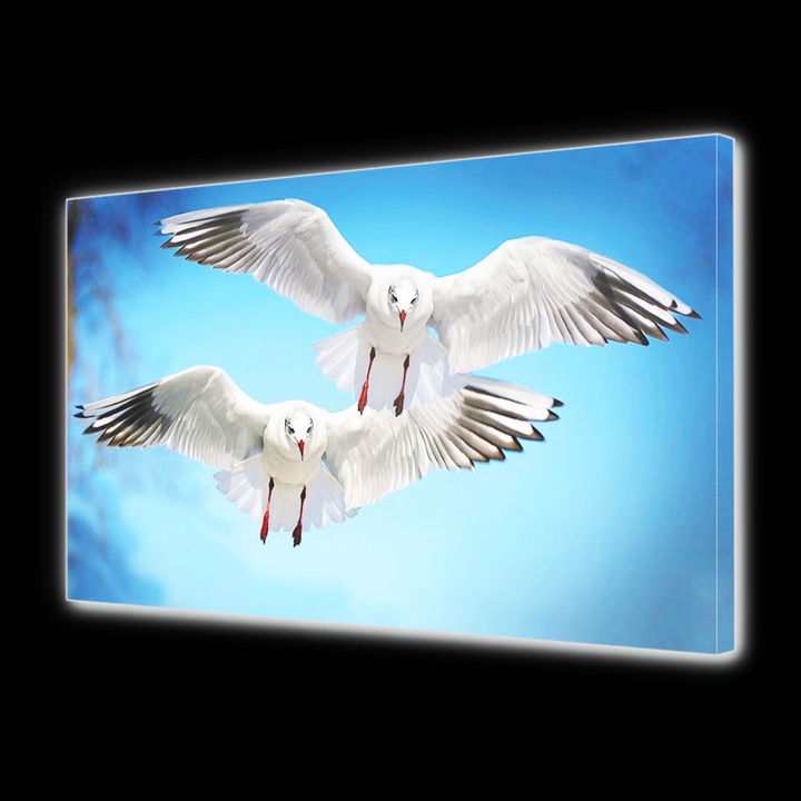 Tablou Canvas Luminos in intuneric VarioView LED Animale Balene in ocean 70 x 100 cm