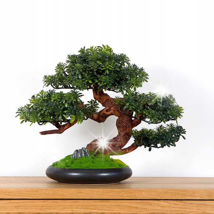 Dekoratív Bonsai Crassula, fa és műanyag, zöld, 45x37x25 cm
