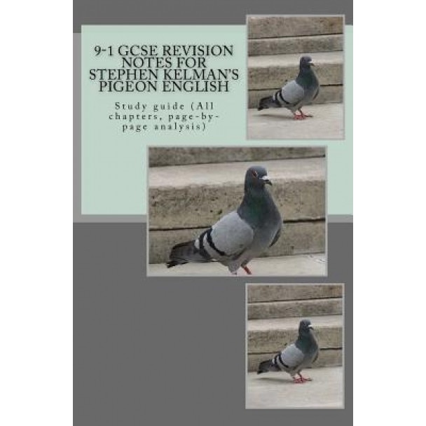 9-1 Gcse Revision Notes for Stephen Kelman's Pigeon English: Study Guide (All Chapters, Page-By-Page Analysis), MR Joe Broadfoot (Author)