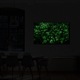 Tablou VarioView MoonLight Fosforescent Luminos in intuneric Peisaje Flori inghesuite 20 x 30 cm