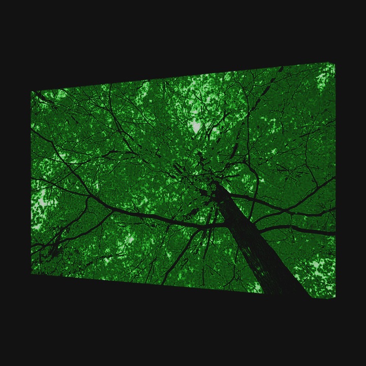 Tablou VarioView MoonLight Fosforescent Luminos in Intuneric Peisaje Coroana galbena 60 x 90 cm