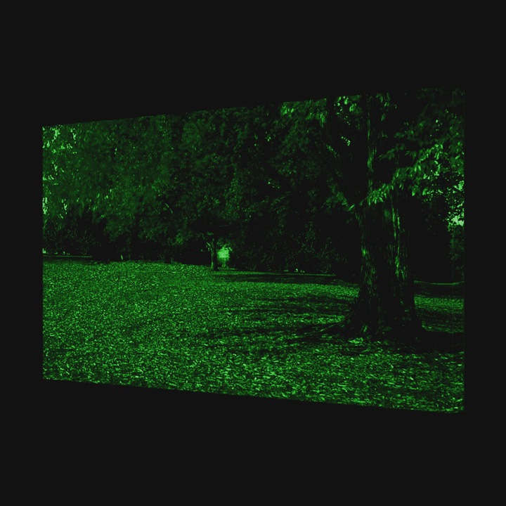 Tablou VarioView MoonLight Fosforescent Luminos in intuneric Peisaje Covor rosu sub copac 20 x 30 cm