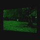 Tablou VarioView MoonLight Fosforescent Luminos in intuneric Peisaje Covor rosu sub copac 20 x 30 cm