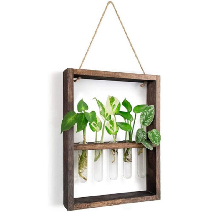 Suport plante agatat perete, rame lemn, 6 vase sticla, transparent, 28x36cm