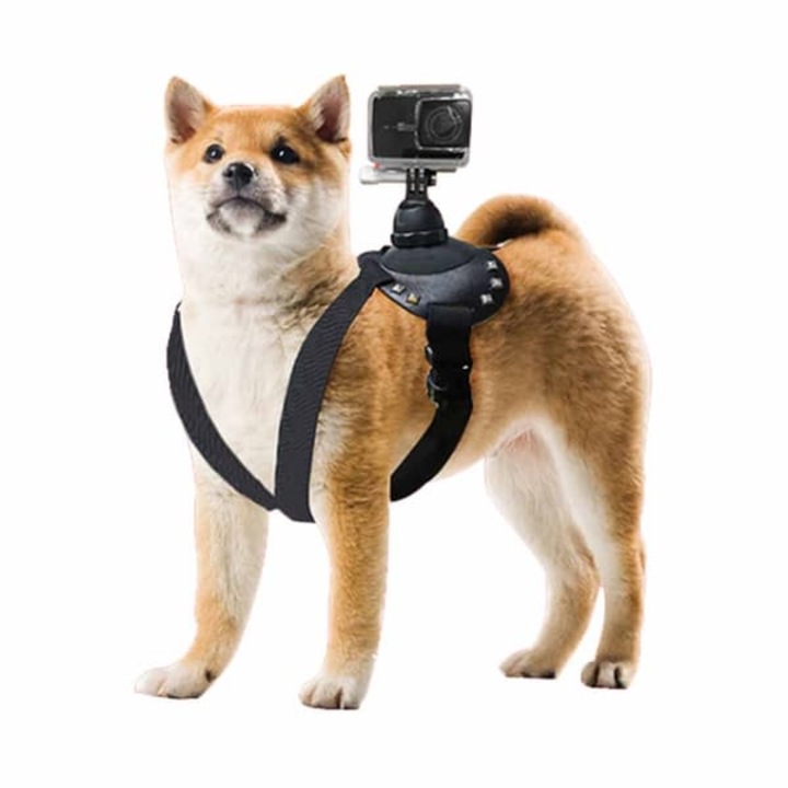 Ham pentru caine cu suport camera universal, negru, marime universala