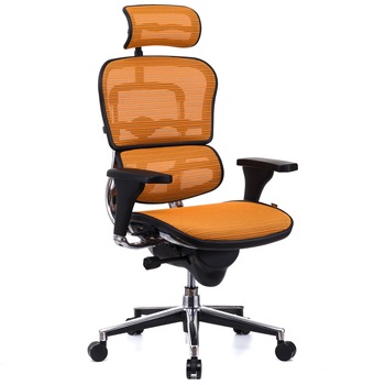 Scaun QMOBILI Ergohuman v1 Plus Portocaliu, mesh 3D, tetiera 2D, suport lombar, brate reglabile 3D, sezut translabil, baza aluminiu Scaun QMOBILI Ergohuman v1 Plus Portocaliu, mesh 3D, tetiera 2D, suport lombar, brate reglabile 3D, sezut translabil, baza aluminiu