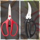 Foarfeci bucatarie, otel inoxidabil, maner plastic antiderapant, 22cm