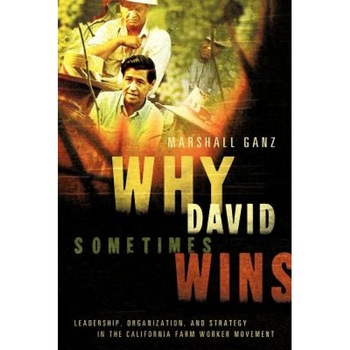 Why David Sometimes Wins: Leadership, Organization, and Strategy in the California Farm Worker Movement, Marshall Ganz Why David Sometimes Wins: Leadership, Organization, and Strategy in the California Farm Worker Movement, Marshall Ganz