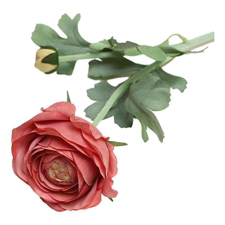 Művirág ranunculus, sötét rózsaszín, 50cm