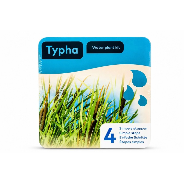Teljes Typha készlet tóhoz, Moerings