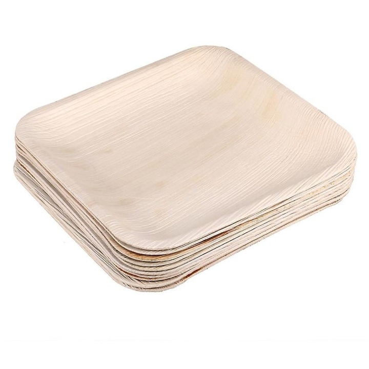 Set 10 farfurii de petrecere, de unica folosinta, alb, 19.5x19.5x2cm