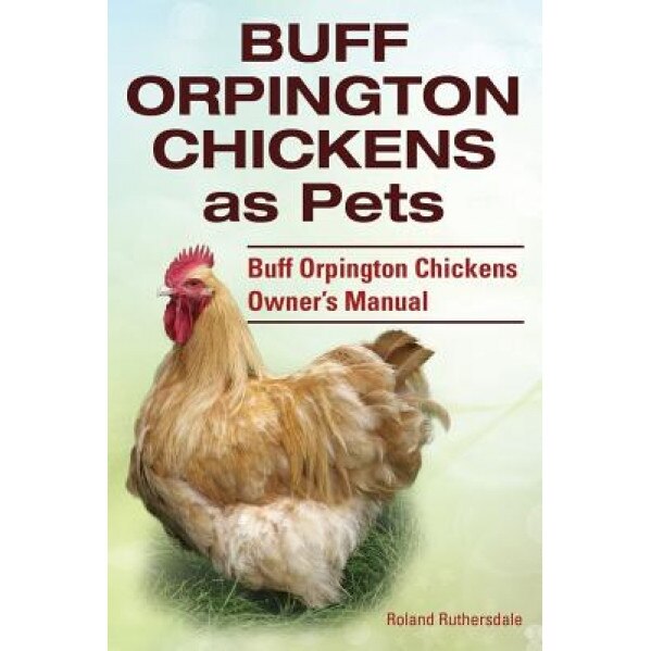 Buff Orpington Chickens as Pets. Buff Orpington Chickens Owner?s Manual., Roland Ruthersdale (Author)