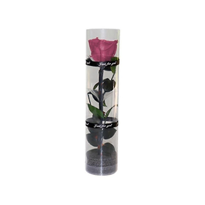 Trandafir conservat natural roz, 27x4.5cm, ambalaj transparent