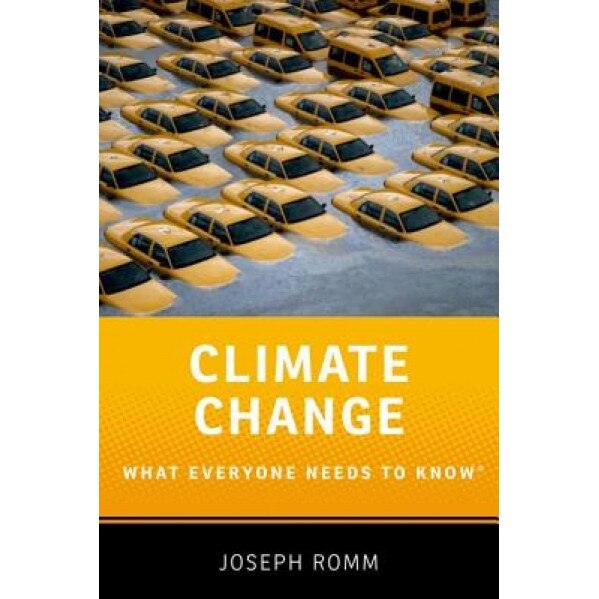 Climate Change: What Everyone Needs to Know(r) - Joseph Romm (Author)