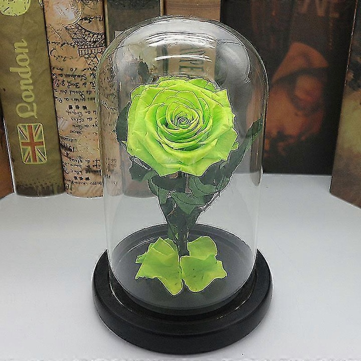 Floare eterna trandafir sub cupola sticla multicolor