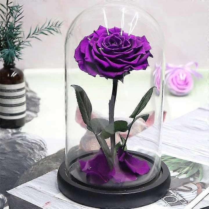 Floare eterna trandafir sub cupola sticla multicolor