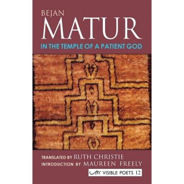 In the Temple of a Patient God, Bejan Matur (Author)