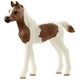 Schleich 13839 Pintabian csikó