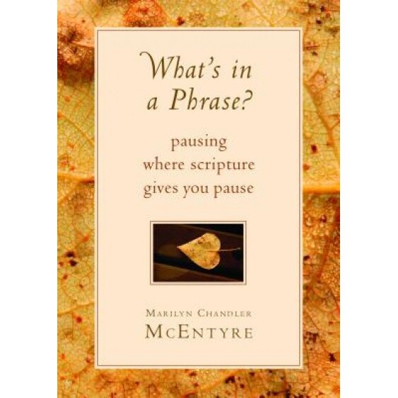 What's in a Phrase?: Pausing Where Scripture Gives You Pause, Marilyn Chandler McEntyre (Author)