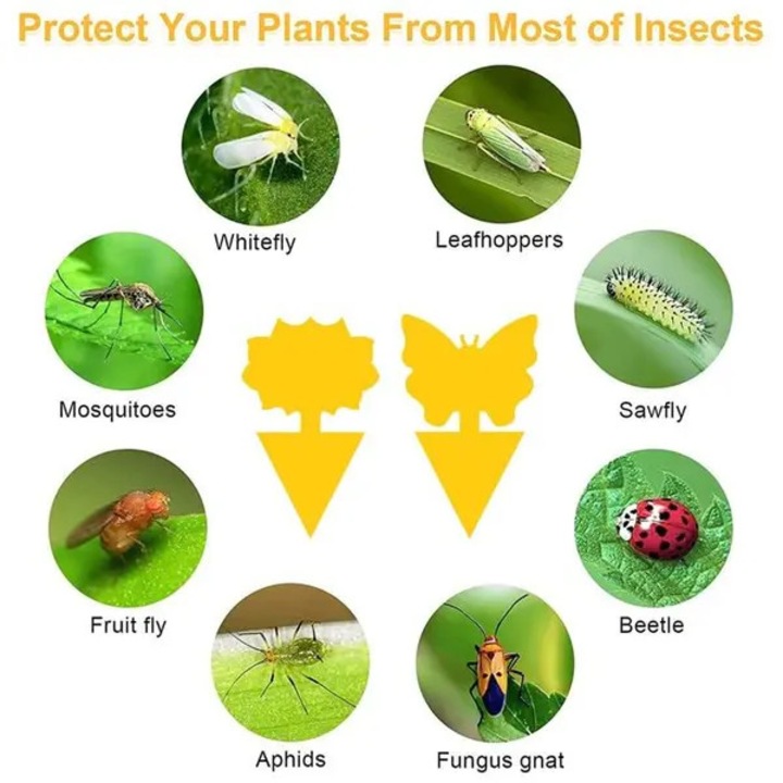 Capcane lipicioase pentru insecte, set 16 buc., pentru musculite albe, afide, muste de fructe si tantari, galben