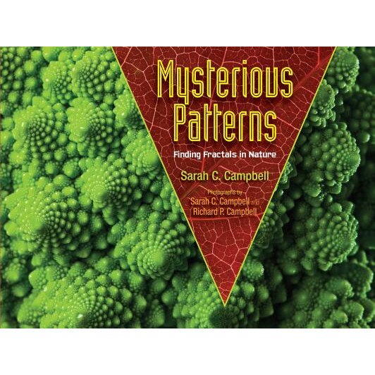 Mysterious Patterns: Finding Fractals in Nature, Sarah C. Campbell (Author)