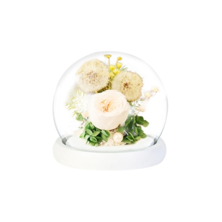 Trandafiri eterni cu papadie si lumini LED, multicolor, 20x20cm